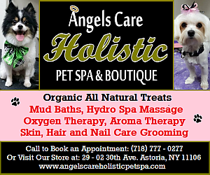 Astoria grooming store holistic pet spa